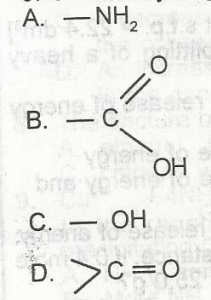 Which of the following functional groups will give gas bubbles when treated with a saturated solution of sodium hydrogen trioxocarbonate(IV)?
